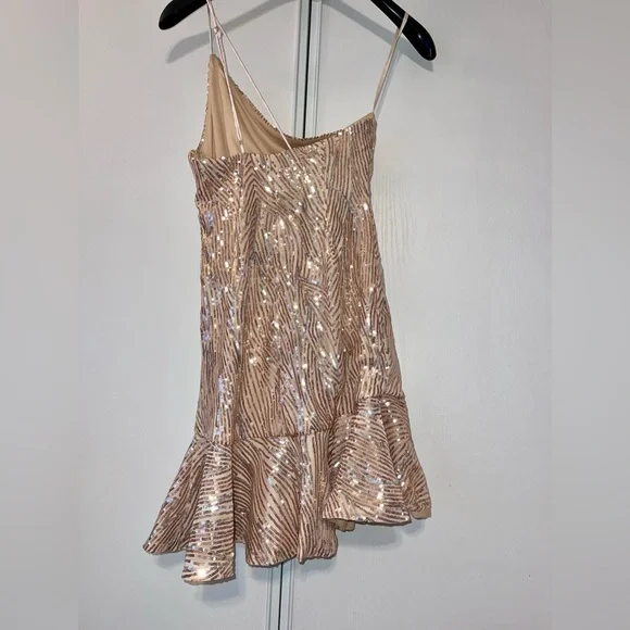 NWT ๐HOST PICK๐ Hello Molly sequin Dress sz L๐ฅณ๐ - Picture 8 of 16
